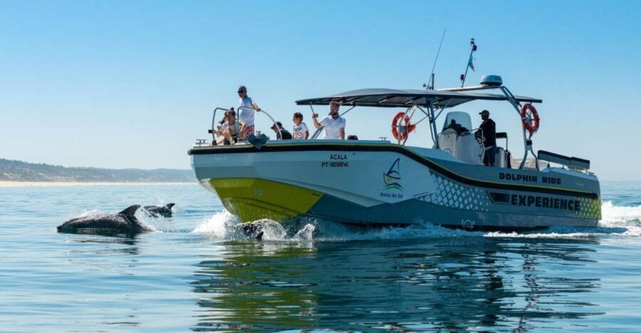 Setúbal: Dolphin Watching Boat Tour - Who This Dolphin Tour Works Best For (And Who Should Think Twice)