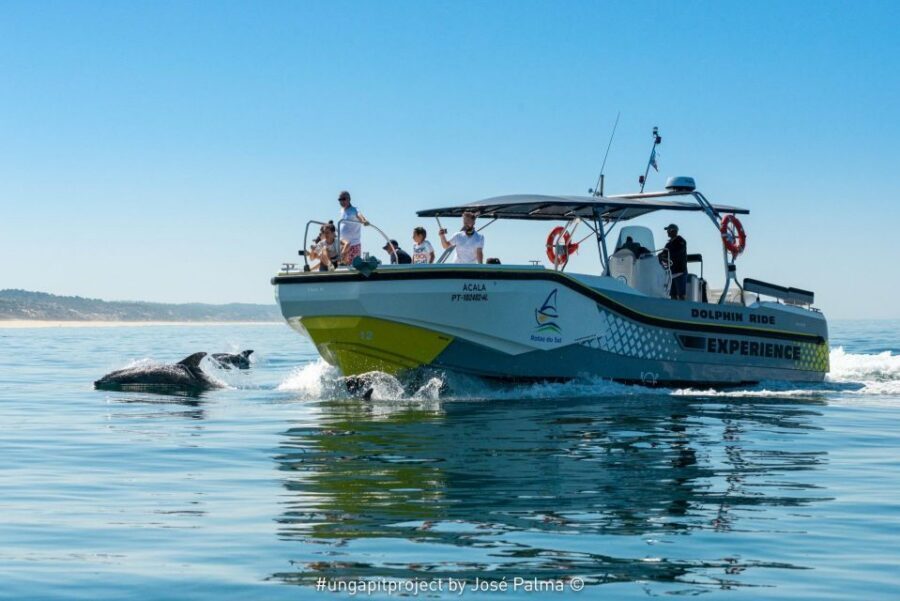 Setúbal: Dolphin Watching Boat Tour - Arrábida Natural Park Photo Stops and Coast Views From the Water