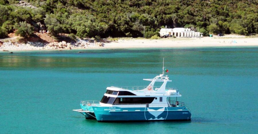 Setúbal: Dolphin Watching Tour - The start of the trip: Moscatel de Setúbal and a briefing that sets expectations