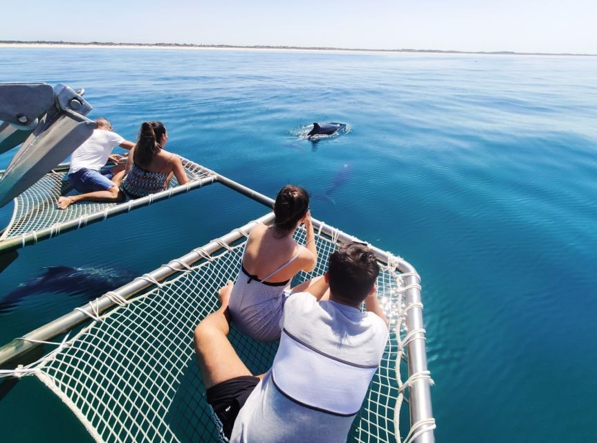Setúbal: Dolphin Watching Tour - Underwater rooms: the “how did they see that?” part of the tour