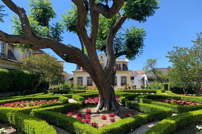 Setúbal Wine Tour with Visit and Tasting at 2 Wineries - Setúbal from Lisbon: why this works as a quick, satisfying escape