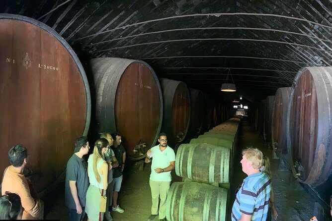 Setúbal Wine Tour with Visit and Tasting at 2 Wineries - The optional-feeling add-on: Adega de Palmela cooperative or Farm Catralvos