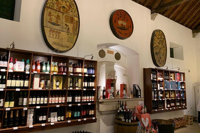 Setúbal Wine Tour with Visit and Tasting at 2 Wineries - Guides make or break it: why Pedro, Ana, Marco, Anna, Fernando, and Gonçalo keep coming up