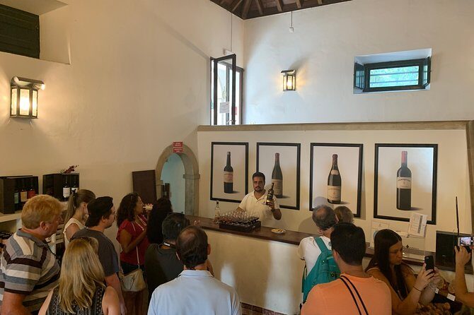 Setúbal Wine Tour with Visit and Tasting at 2 Wineries - Timing, comfort, and weather: the part everyone forgets until it’s a problem