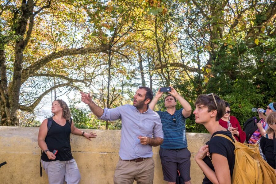 Sintra and Cascais Small Group Tour from Lisbon - Back to Lisbon on the Marginal road: forts and white-sand coastline