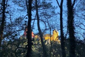 Sintra Cabo da Roca Cascais Estoril Private Tour - Estoril and Cascais: royal-era glamour with WWII-Bond-era stories