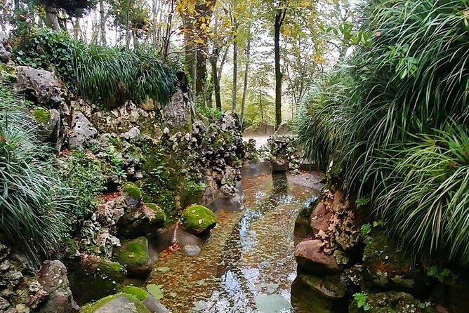 Sintra Full-Day Private Tour - A Journey through Wonderland - Stop 2: Parque e Palacio de Monserrate for gardens with a pulse