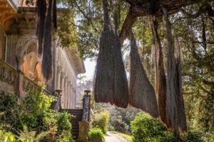 Sintra: Monserrate Palace & Park Ticket - Price and Value: Is $14 a Good Deal?