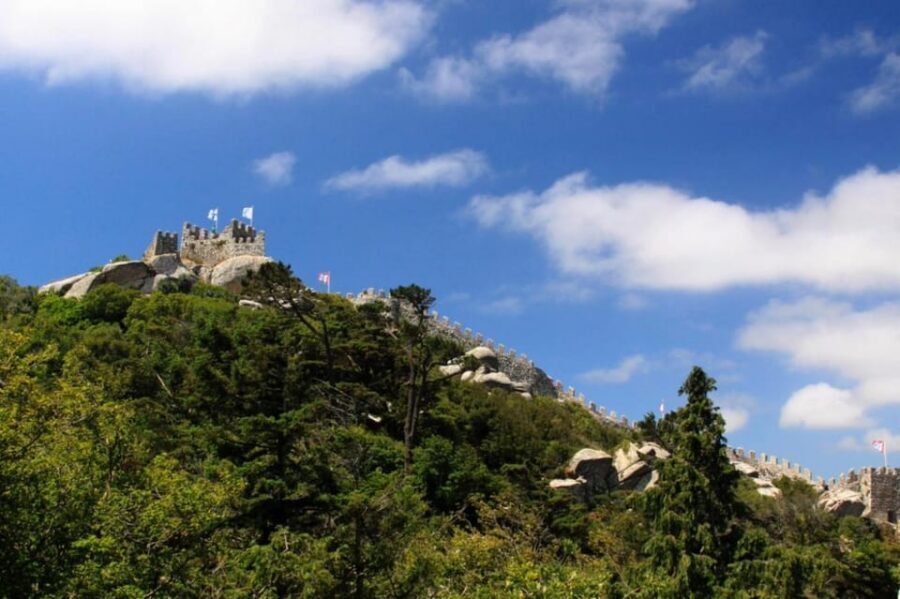 Sintra: Official Public Bus Transport: All Palaces & Castles - Riding Rules and Small Tips That Make Validation Easy
