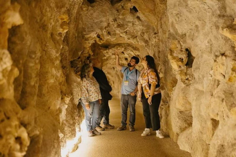 Sintra: Quinta da Regaleira Entry Ticket and Guided Tour - Your 1.5-hour route: what happens from start to finish