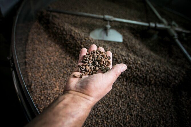 Song of the Sea: Fish, Seafood and Tradition in Lisbon’s Port Zone - Chafariz da Esperança: Landmarks, Side Stops, and a Coffee Moment